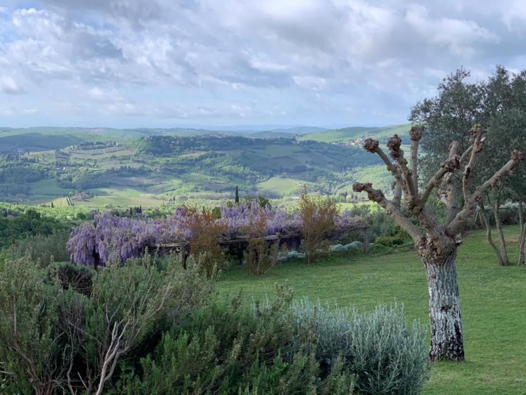 La Locanda Volpaia Radda in Chianti Zewnętrze zdjęcie